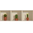 Mursticker 3D Cactus in potten - ambiance-sticker.com